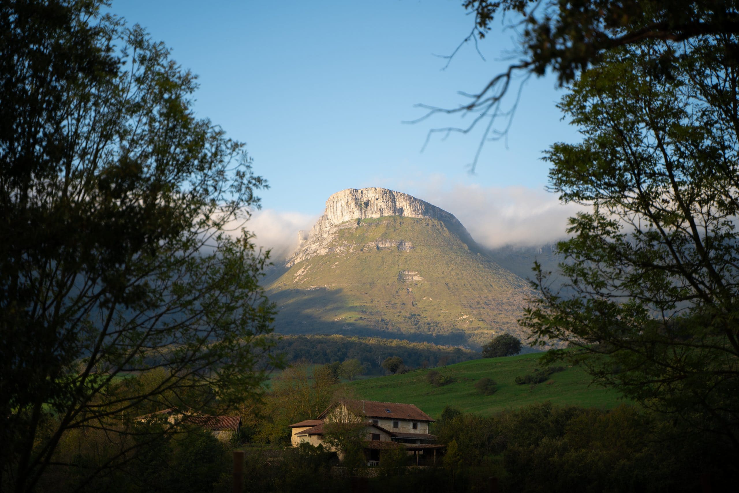 aiaraldea